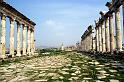 13 Apamea